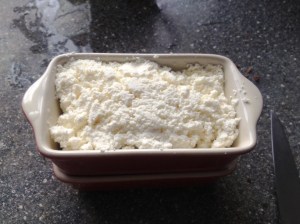 curd cheese (3)