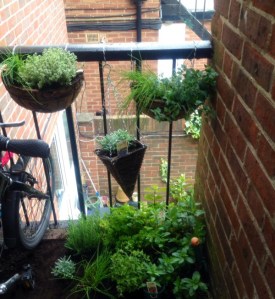 garden 3